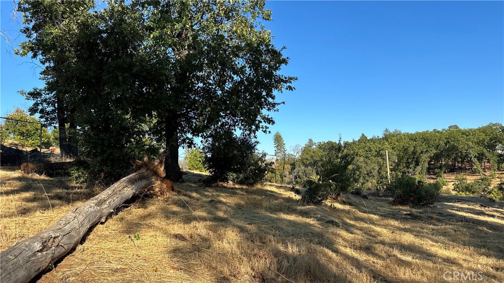 439 Roe Road Property Photo 9
