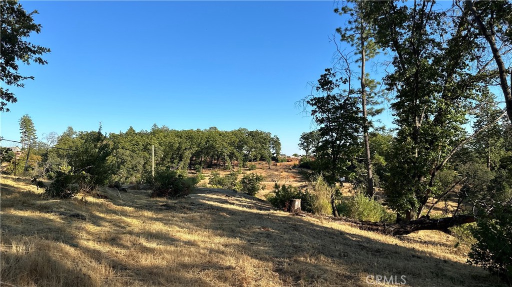 439 Roe Road Property Photo 10