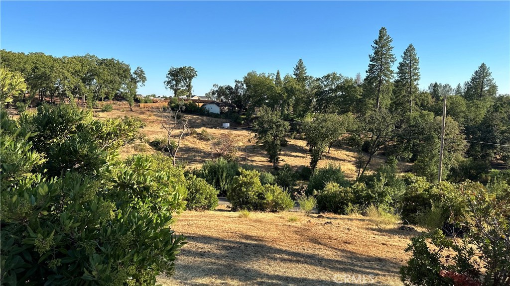 439 Roe Road Property Photo 11