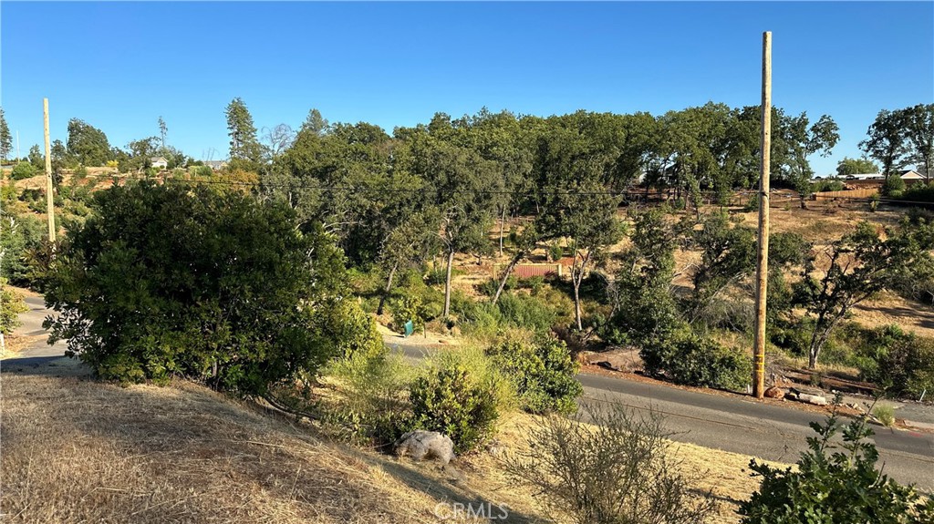 439 Roe Road Property Photo 16