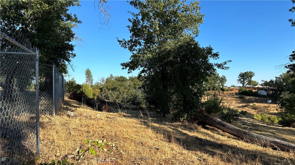 439 Roe Road Property Photo 19