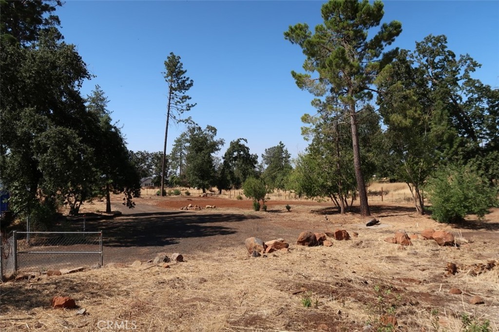 4035 Neal Road Property Photo 1