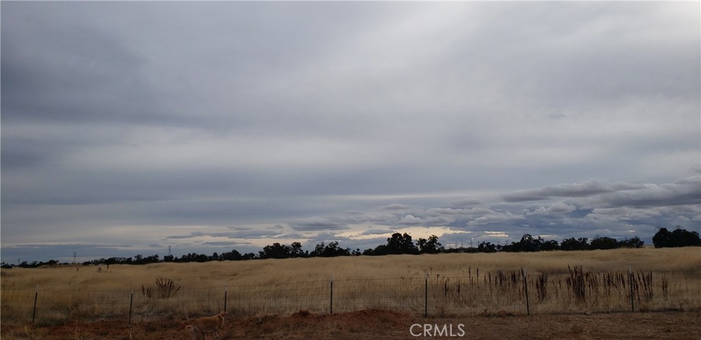 11710 Paskenta Road Property Photo 39