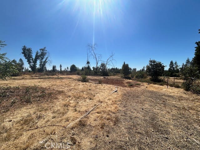 1616 Nelson Lane Property Photo 1