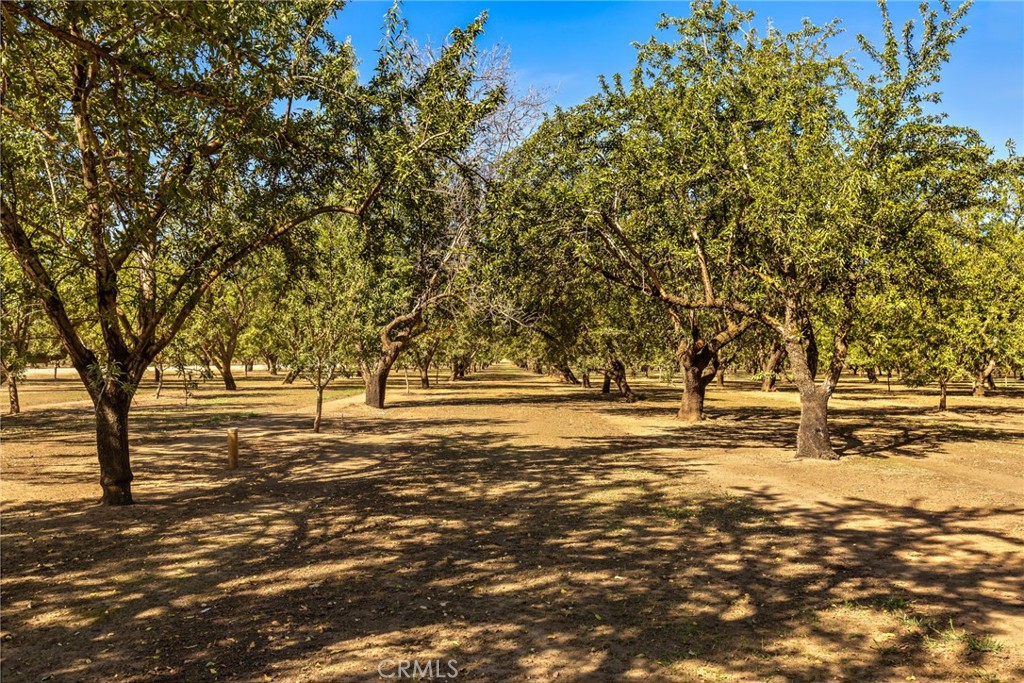 3 Cummings Property Photo 3