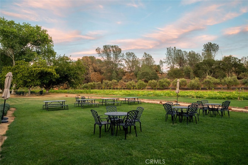 6237 Cohasset Road Property Photo 13