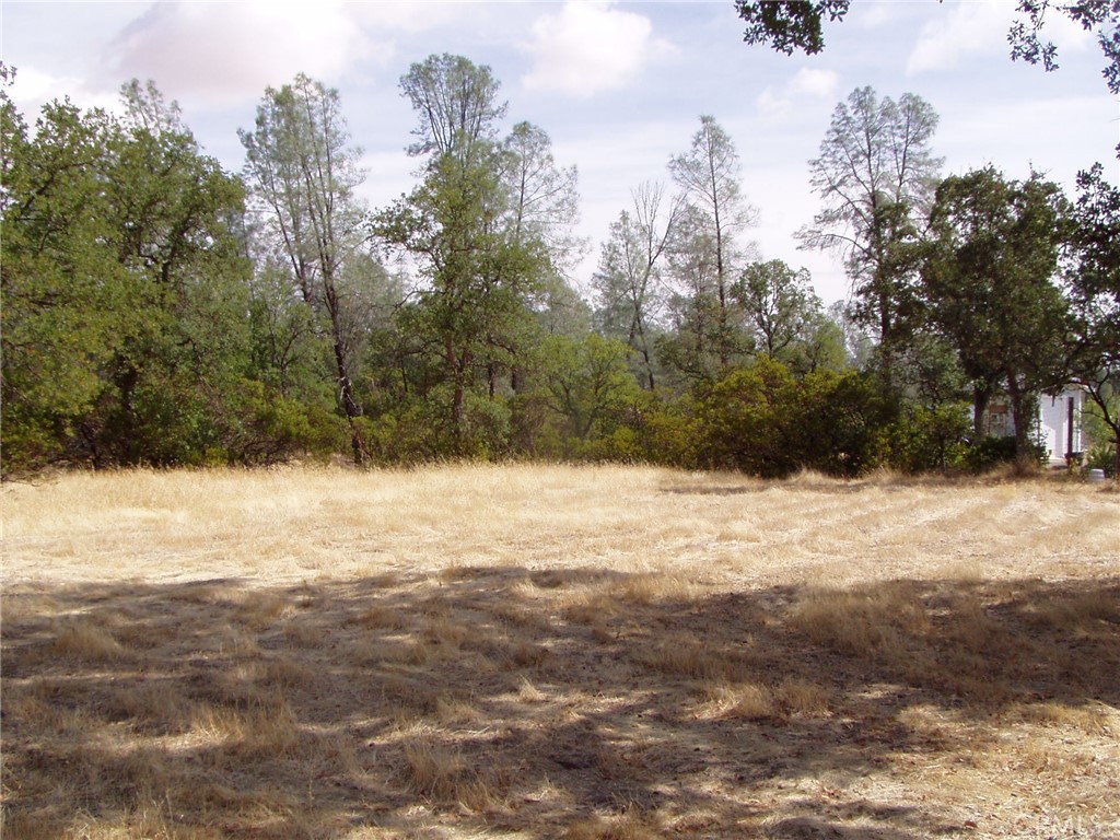 15838 El Dorado Drive Property Photo 1
