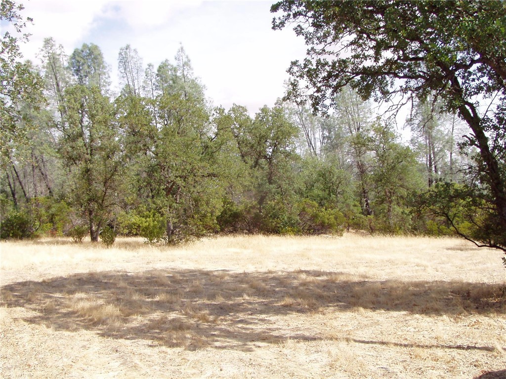 15838 El Dorado Drive Property Photo 2