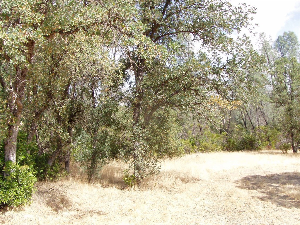 15838 El Dorado Drive Property Photo 3