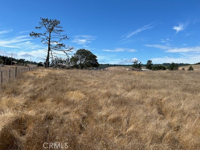 330 Valley Ford Freestone Road Property Photo 2