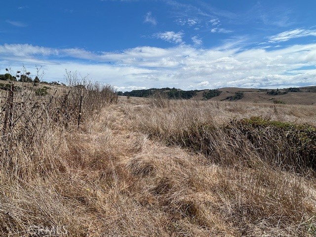 330 Valley Ford Freestone Road Property Photo 7