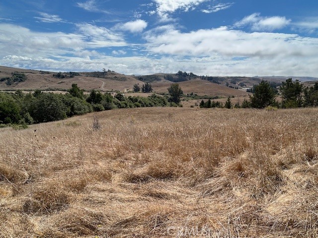 330 Valley Ford Freestone Road Property Photo 10