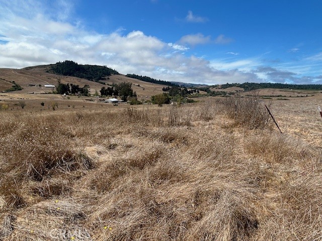 330 Valley Ford Freestone Road Property Photo 11