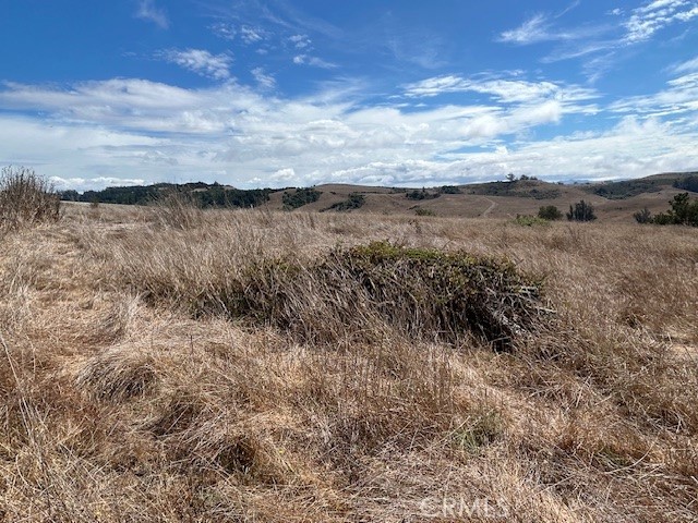 330 Valley Ford Freestone Road Property Photo 13