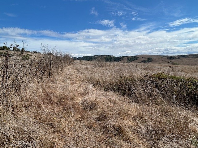 330 Valley Ford Freestone Road Property Photo 14
