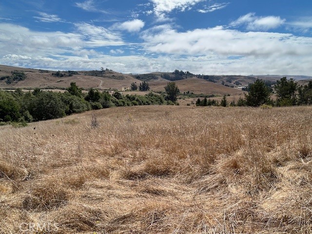 330 Valley Ford Freestone Road Property Photo 17
