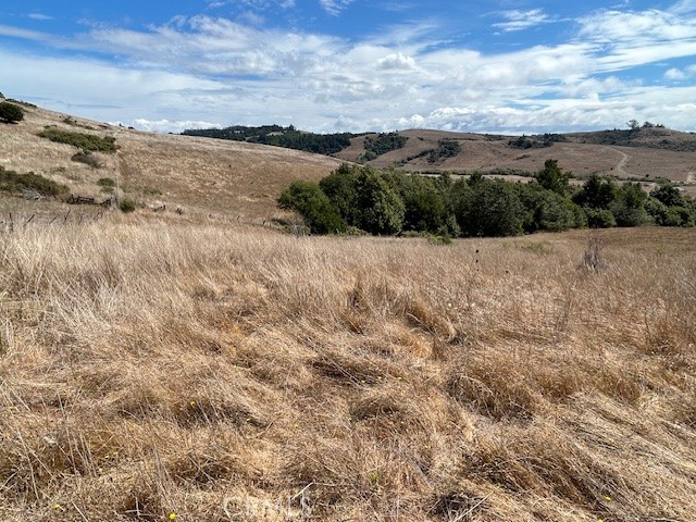330 Valley Ford Freestone Road Property Photo 18