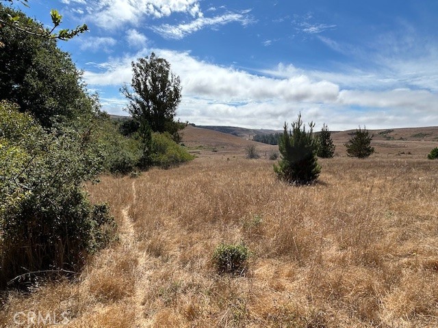 330 Valley Ford Freestone Road Property Photo 19