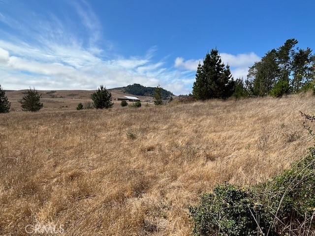 330 Valley Ford Freestone Road Property Photo 20