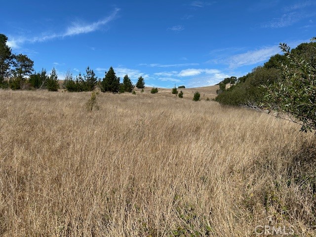 330 Valley Ford Freestone Road Property Photo 21