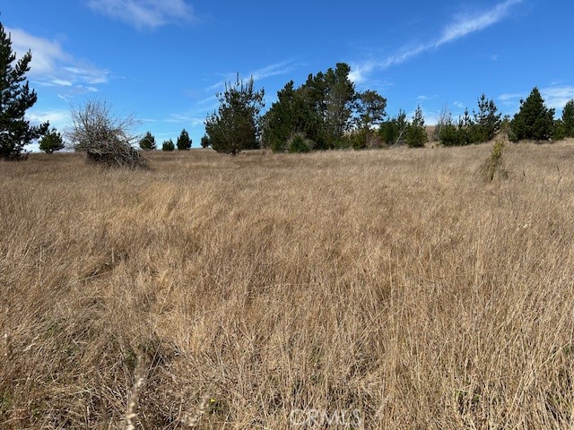 330 Valley Ford Freestone Road Property Photo 22
