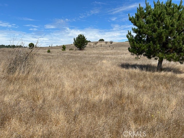 330 Valley Ford Freestone Road Property Photo 24
