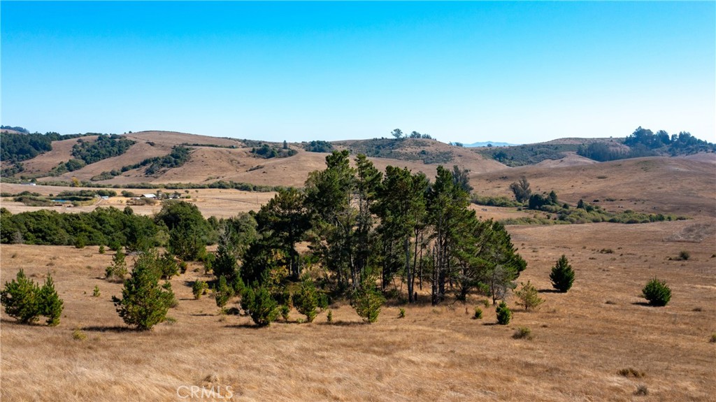 330 Valley Ford Freestone Road Property Photo 40