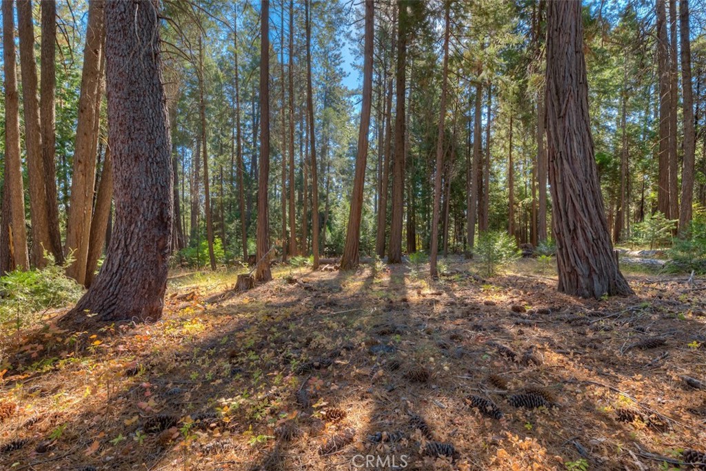 0 Fern Glenn Way Property Photo 3