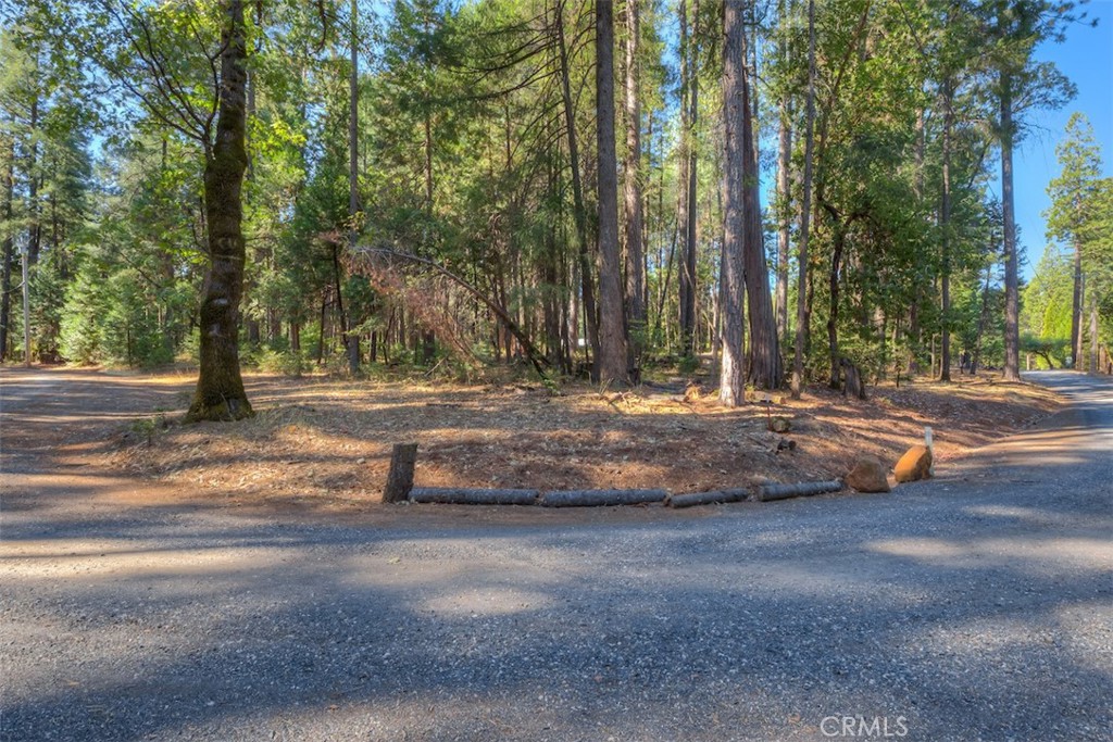 0 Fern Glenn Way Property Photo 8