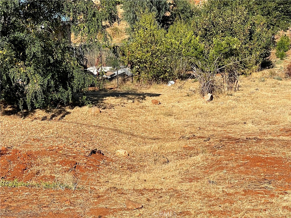 5595 Sierra Park Drive Property Photo 5