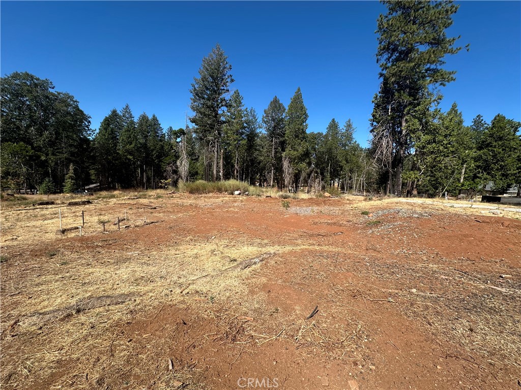 14035 Drexel Drive Property Photo 1
