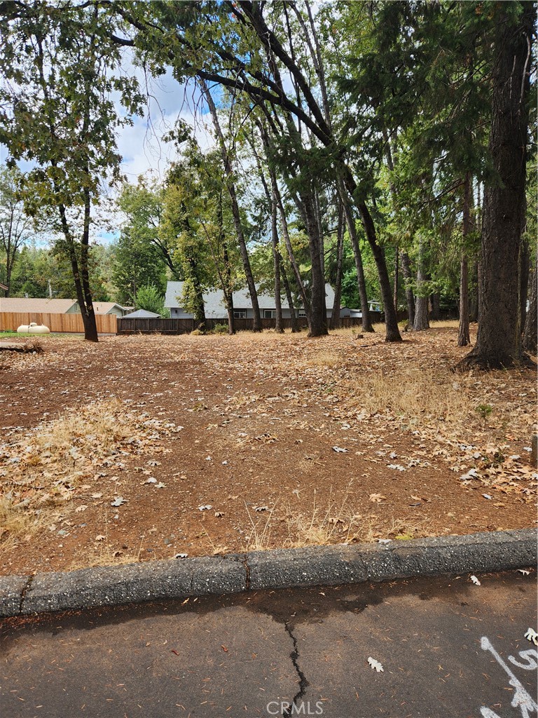 0 Carnegie Road Property Photo 2