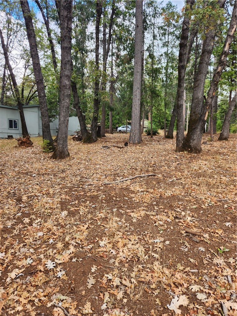 0 Carnegie Road Property Photo 5