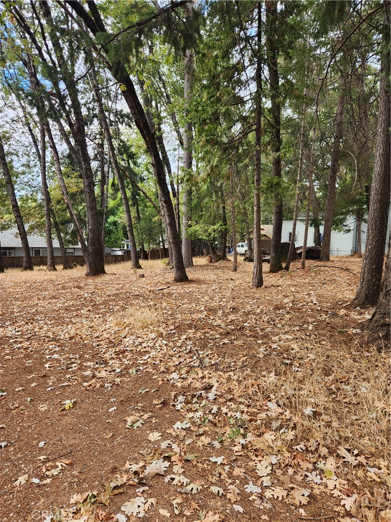 0 Carnegie Road Property Photo 6