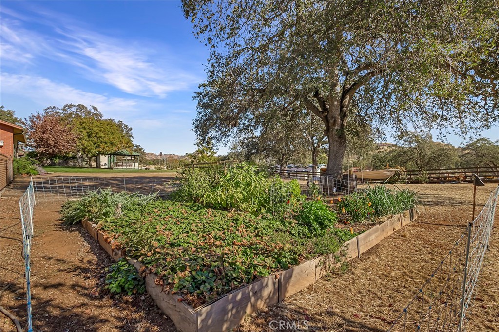 3811 Echo Mountain Drive Property Photo 54