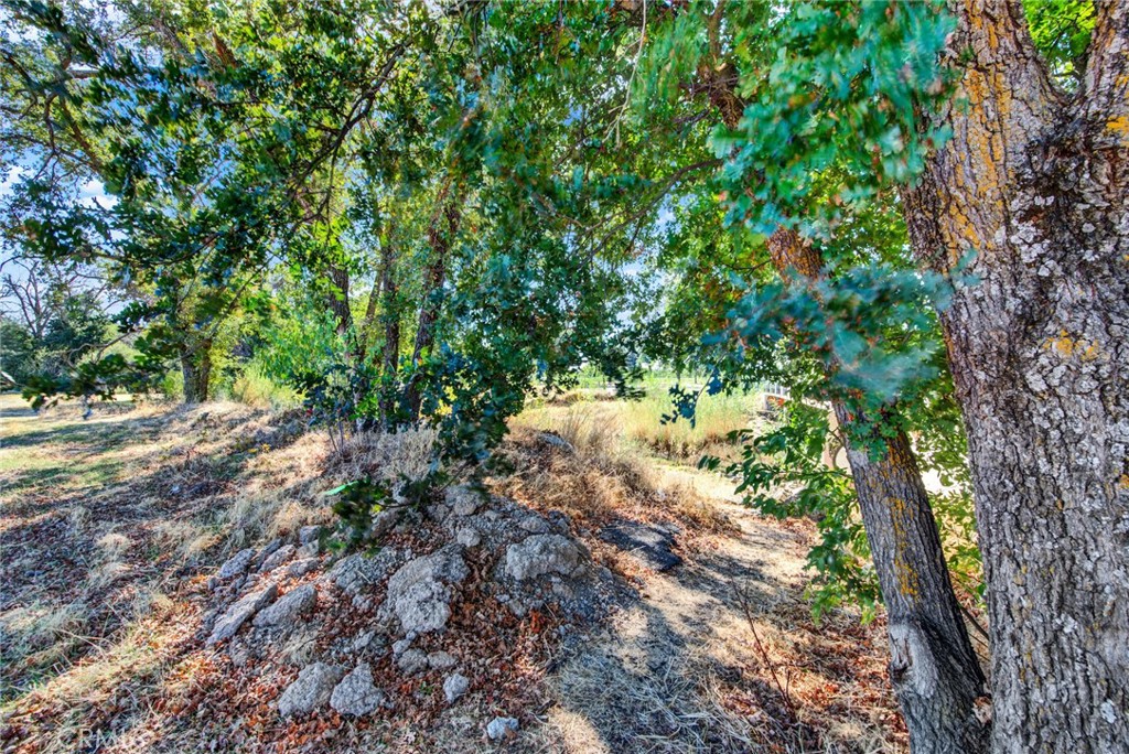 0 Toomes Property Photo 11