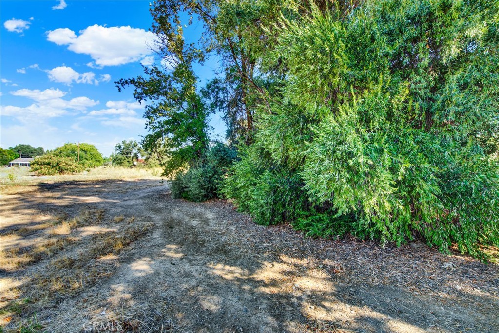 0 Toomes Property Photo 19