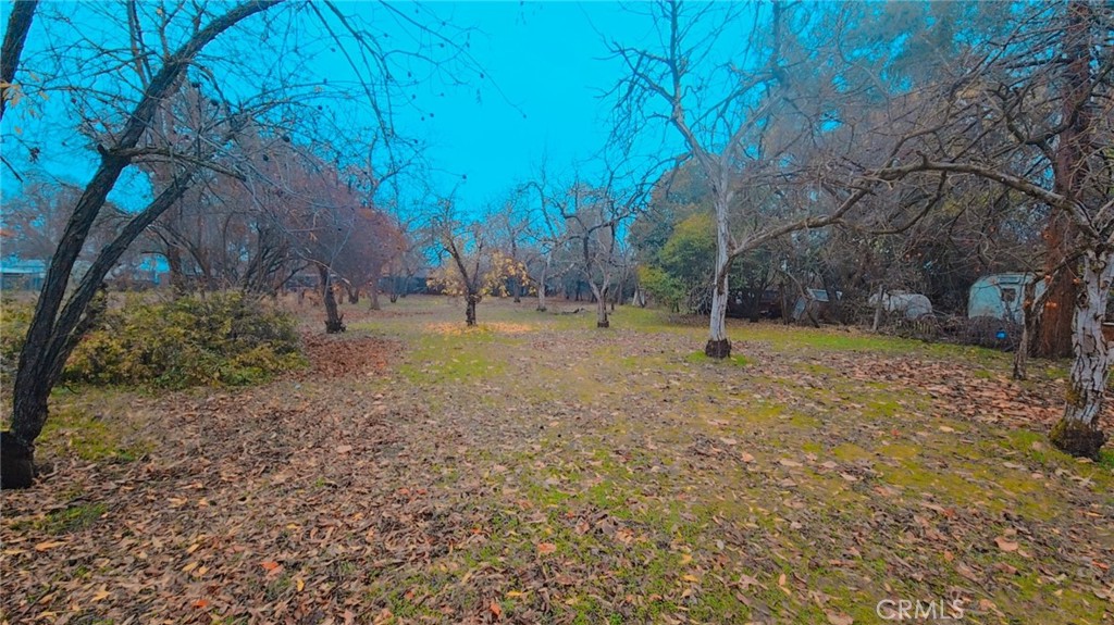 9781 Richards Road Property Photo 3