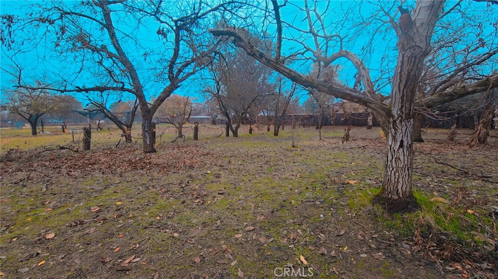 9781 Richards Road Property Photo 7