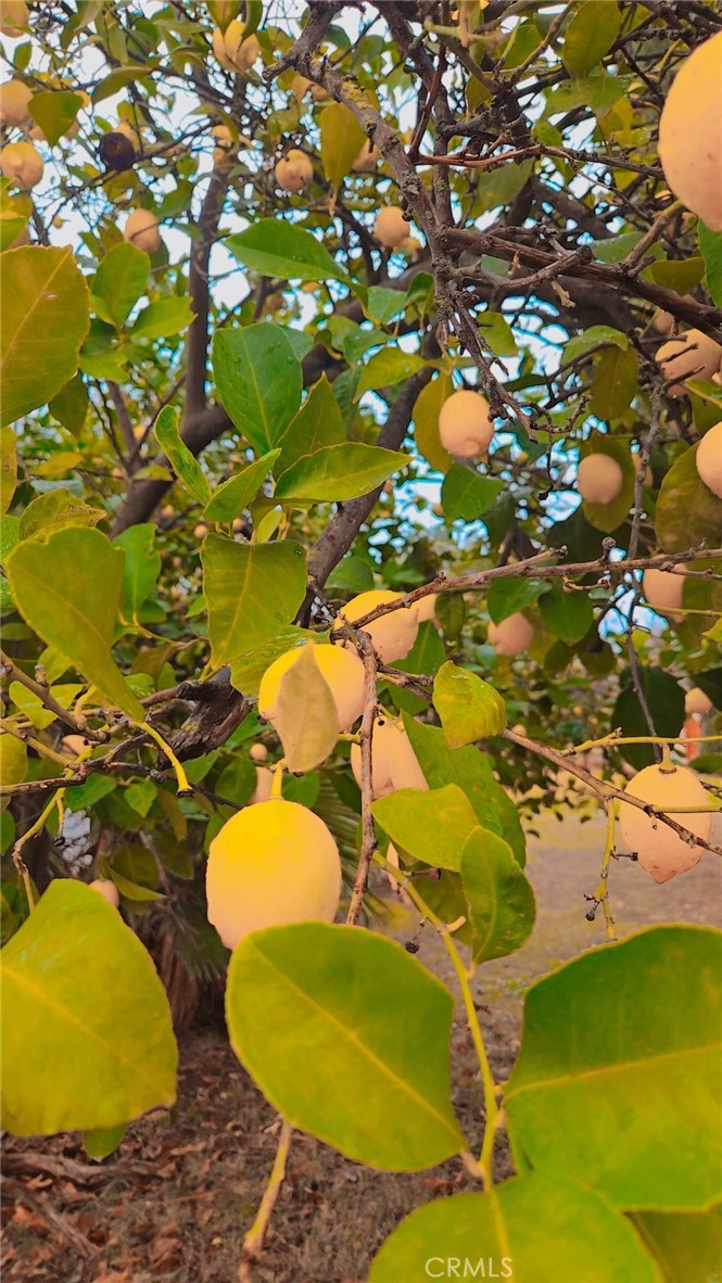 9781 Richards Road Property Photo 11