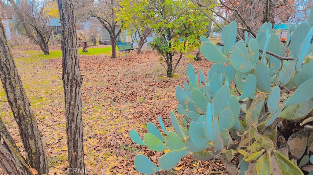 9781 Richards Road Property Photo 13