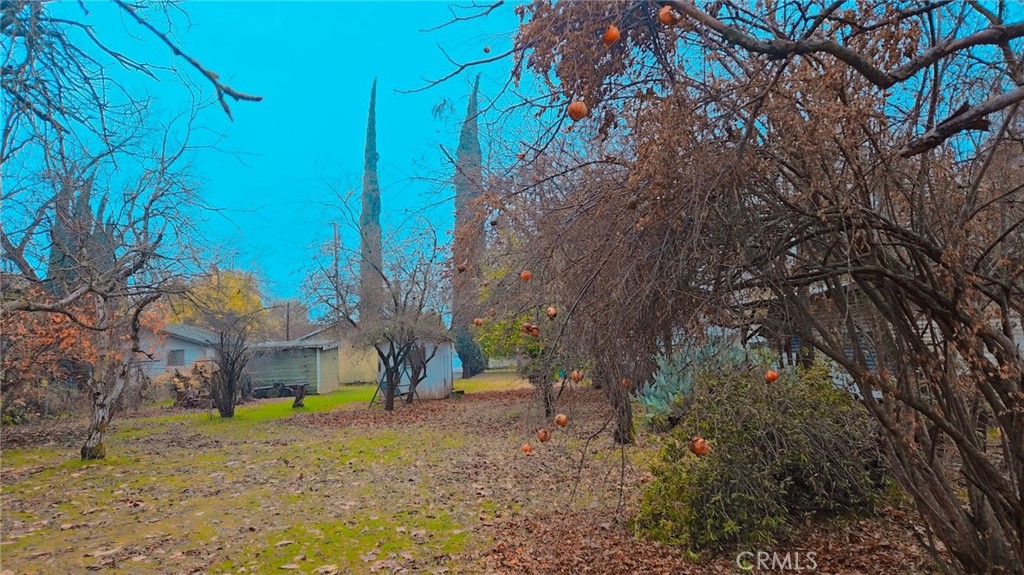 9781 Richards Road Property Photo 34