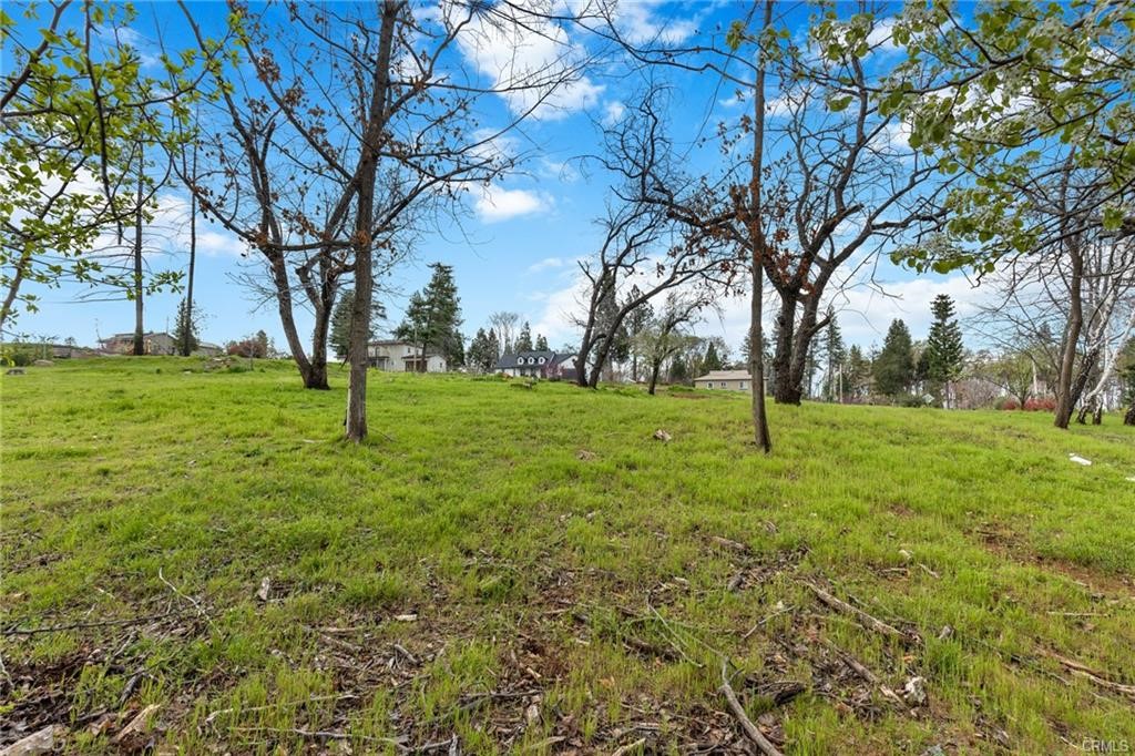 0 Gregory Lane Property Photo 3