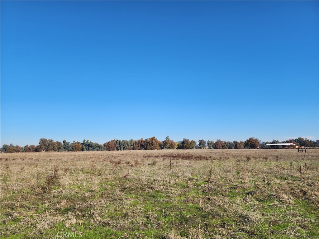 1882 Capay Road Property Photo 16