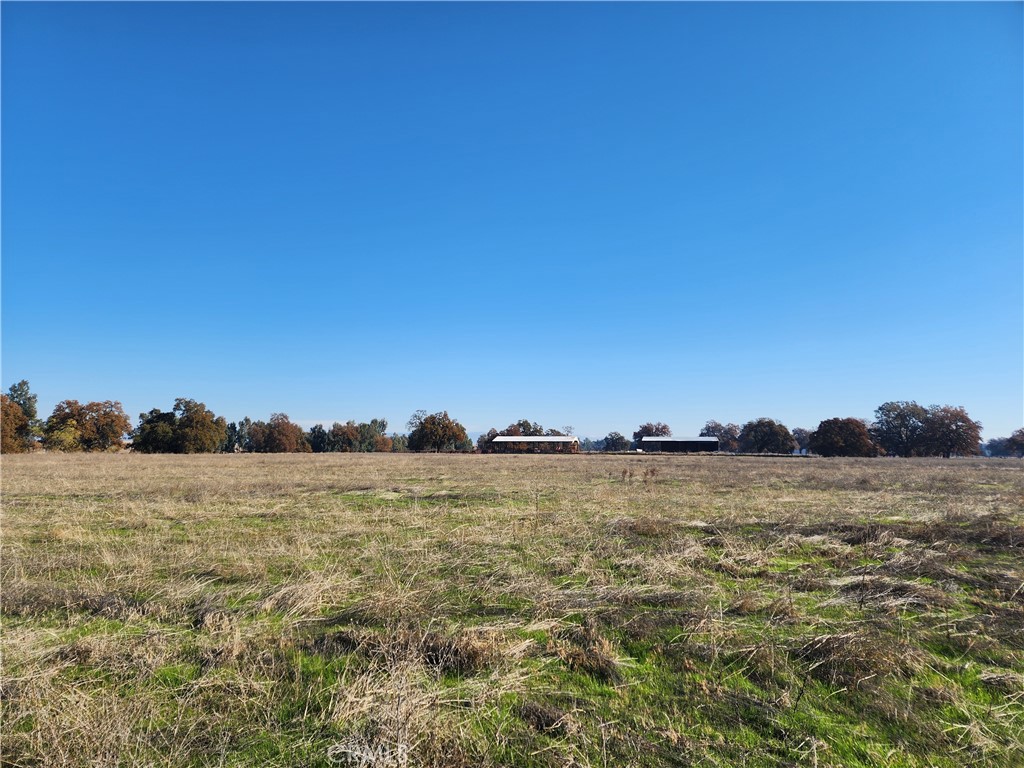 1882 Capay Road Property Photo 18