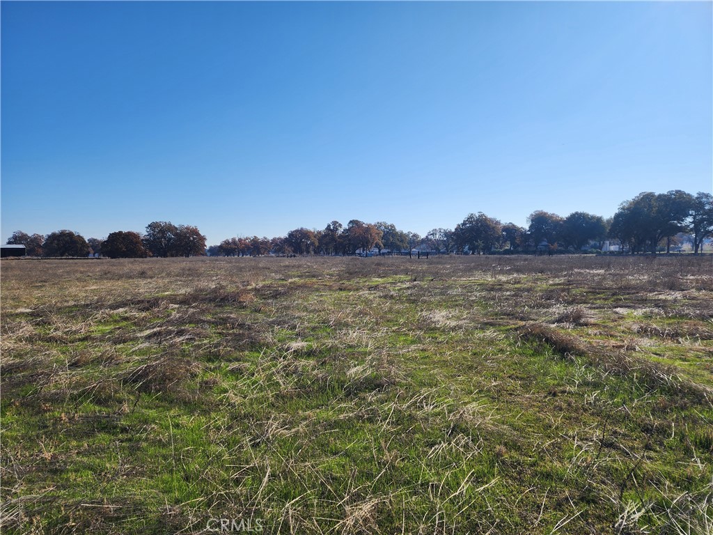 1882 Capay Road Property Photo 20