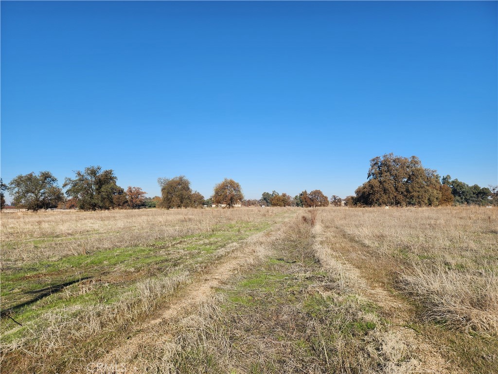 1882 Capay Road Property Photo 22