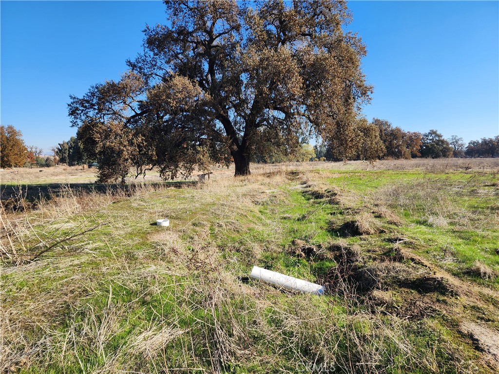 1882 Capay Road Property Photo 24
