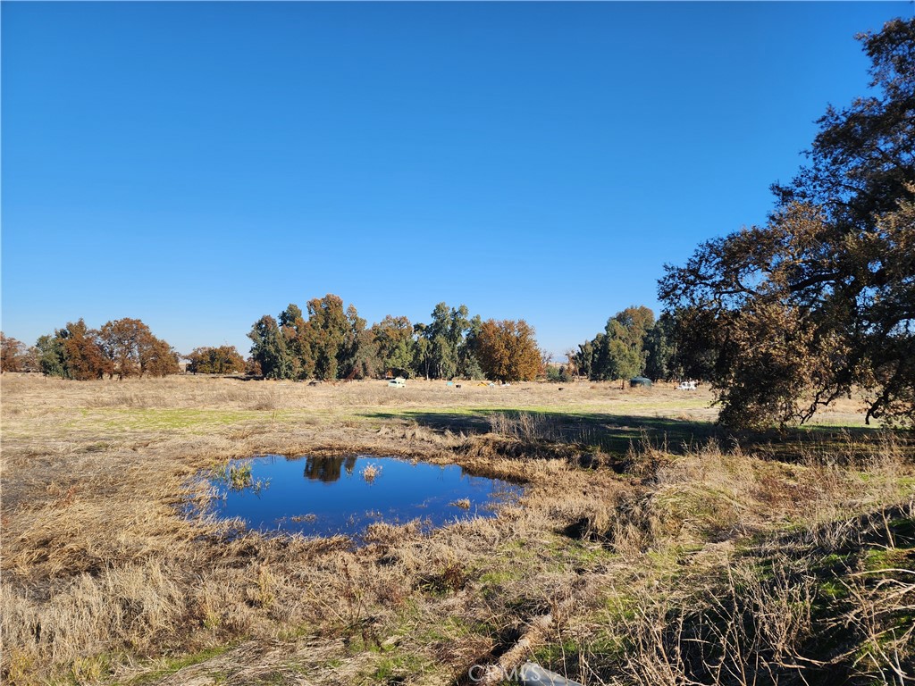 1882 Capay Road Property Photo 27