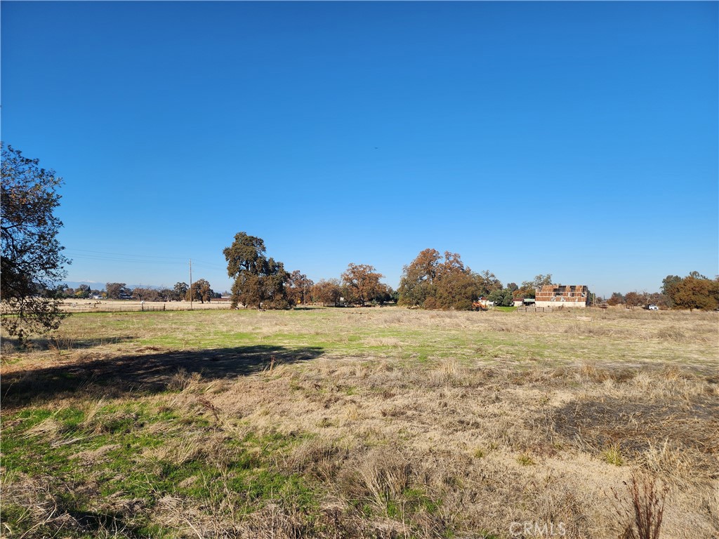 1882 Capay Road Property Photo 28